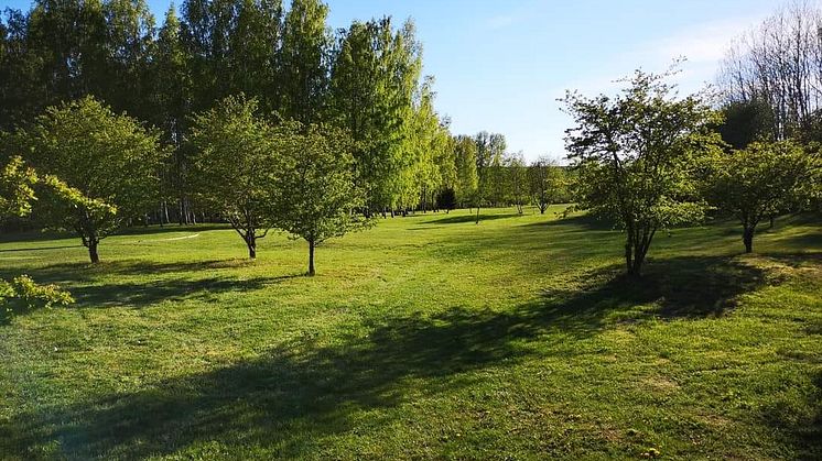 Järva DiscGolfPark före 2021