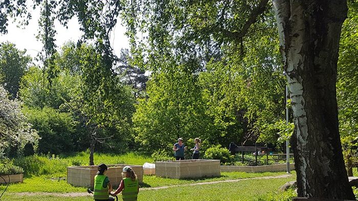 Odling med barn. Fotograf samt medarbetare i forskningen: Anna Litsmark