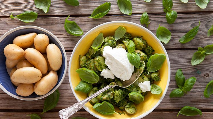 Potatis-sallad-med-basilika-olja-1024x683