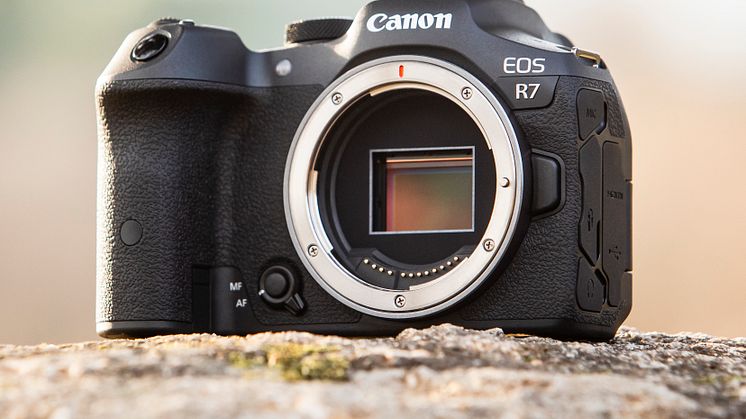 Canon EOS R7_Ambient_11-pro-1x1[1]