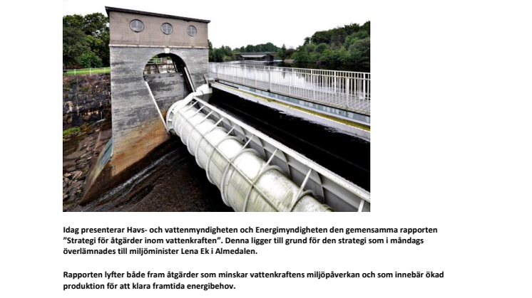 Ny rapport från Energimyndigheten och Havs- och vattenmyndigheten: Strategi för åtgärder inom vattenkraften kan klara miljö- och energimål
