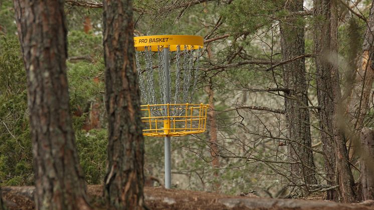 Nu sätter vi Vallentuna på den svenska discgolfkartan