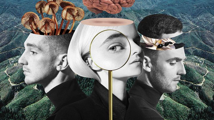 Clean Bandit - What Is Love? artwork