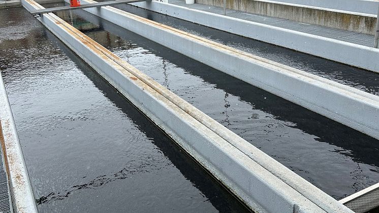 Trail Lakes Hatchery, Alaska