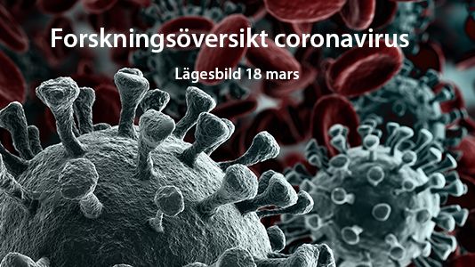 Forskningsöversikt ger lägesbild i kampen mot coronaviruset