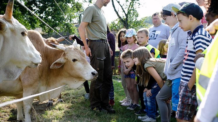 Ab Juli können rund 750 Kinder im Alter von sechs bis zehn Jahren in zehn deutschen Städten auf Naturlandhöfen selbst mit anpacken. 