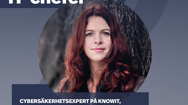 Åsa Schwartz – "Sveriges IT-chefer"