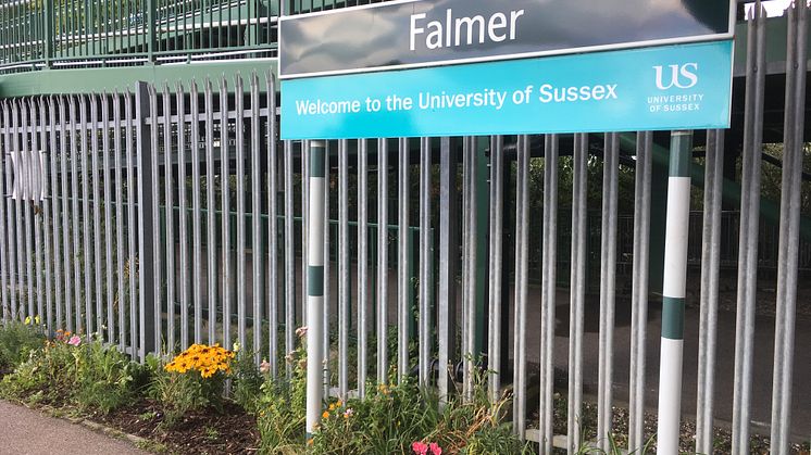 Falmer station planting