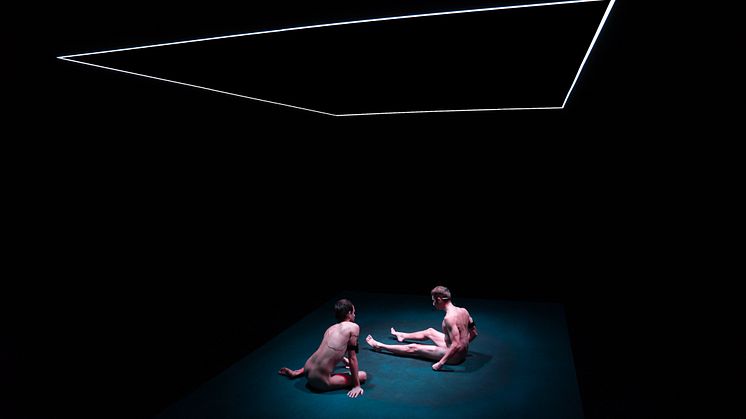 Dark Field Analysis / Jefta van Dinther