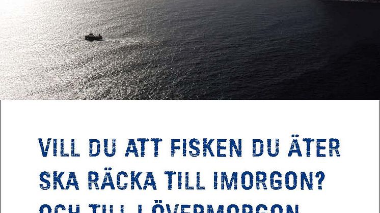 Det finns många goda skäl att gilla uthålligt fiske – Findus i stor kampanj för ökat fiskätande!