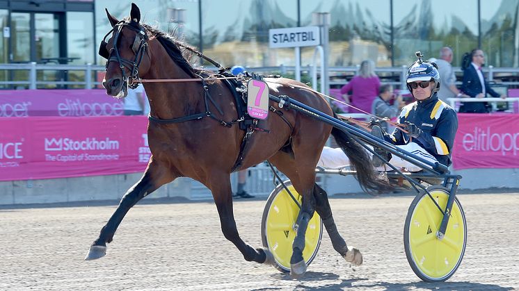 Click Bait vann H.K.H. Prins Daniels Lopp i Gävle och är klar för Elitloppet. Foto: TR Bild
