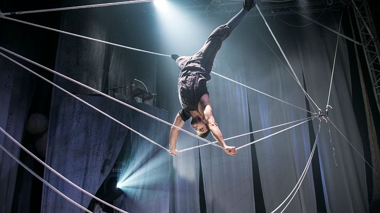 Cirkus Cirkör i långsiktigt samarbete med Sara kulturhus