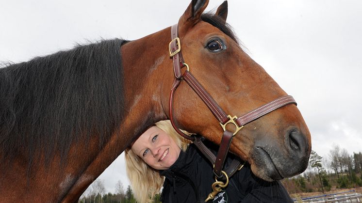 Elitloppet 2012 är lottat