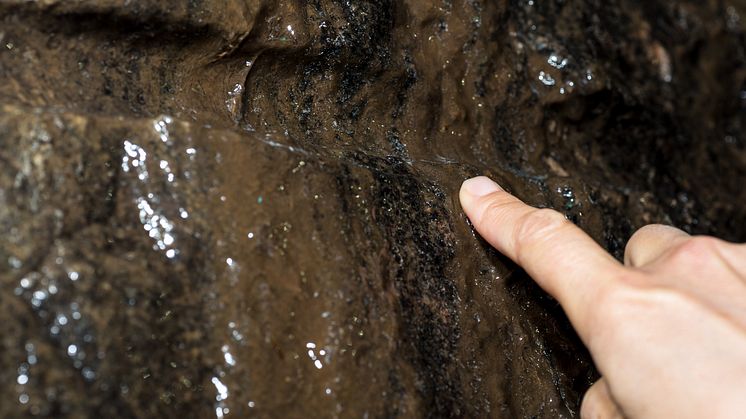 Biofilmen på väggen_med finger