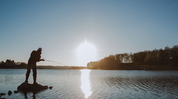 Under 2021 ägnade sig ungefär 1,5 miljoner personer åt fritidsfiske minst en gång. Det här visar en enkät som gjorts av statistikmyndigheten SCB på uppdrag av HaV. Foto: Natalie Greppi