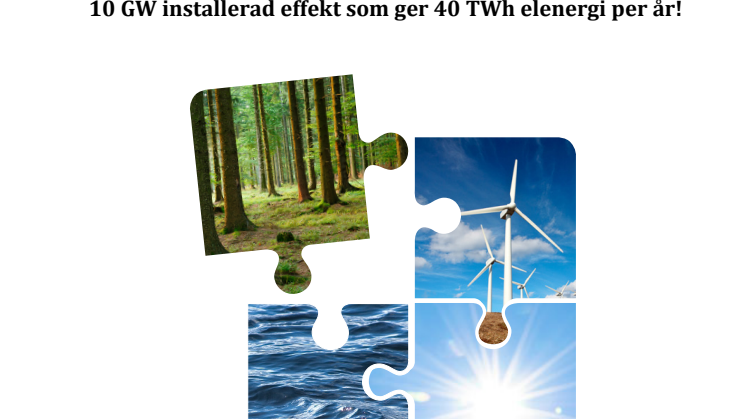 Rapport från Biokraftplattformen
