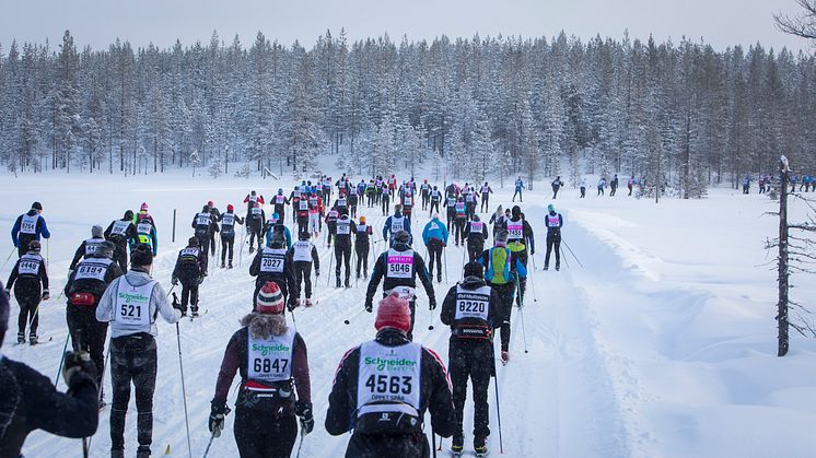 Vasaloppet introduces new start procedure for Öppet Spår
