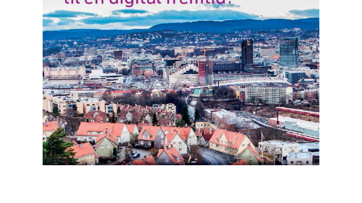 STN Presentasjon av NBCI
