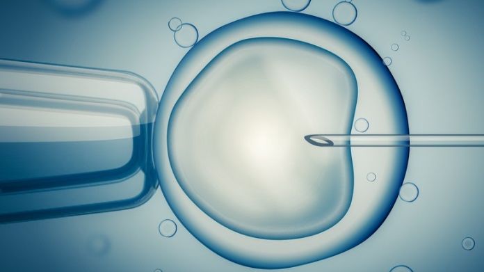 Bild Copyright: vchalup - Fotolia