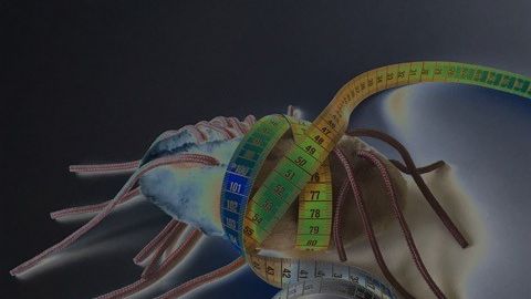 E-colicell som mäter sig själv