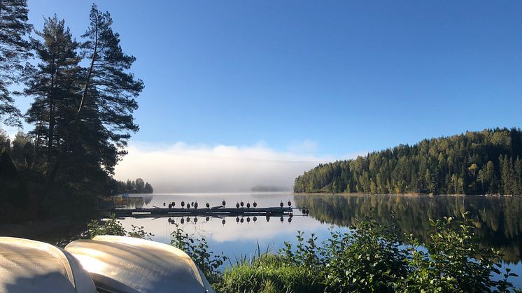 Värmland Årjäng Foto Sommarvik Camping.jpg6