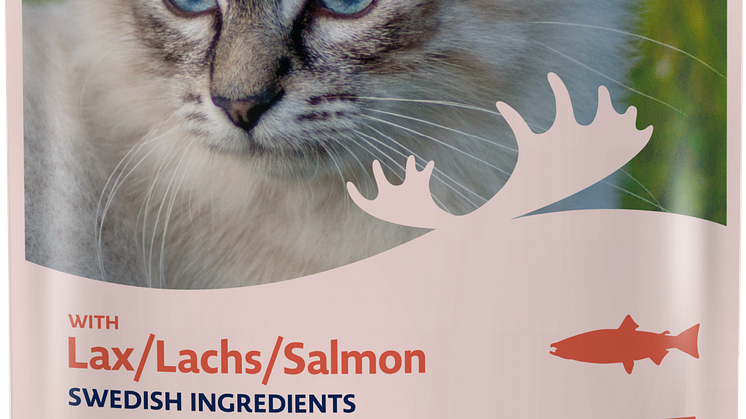 Salmon i jelly
