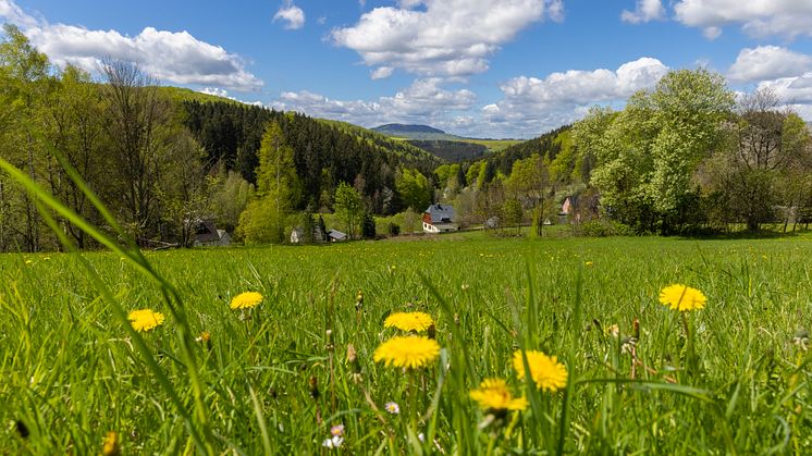 Landschaft_Frühling_Schindelbachtal 05.2021 (1 von 9) Foto TVE_RonnyKüttnerPhotoron.jpg