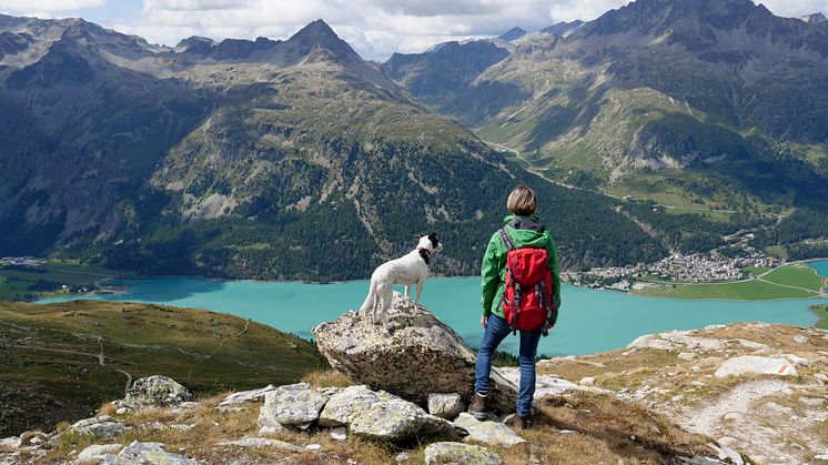 Hit drömmer hunden om att få resa_6