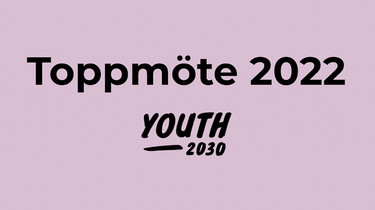 Skärmavbild 2022-04-04 kl. 17.46.54.png
