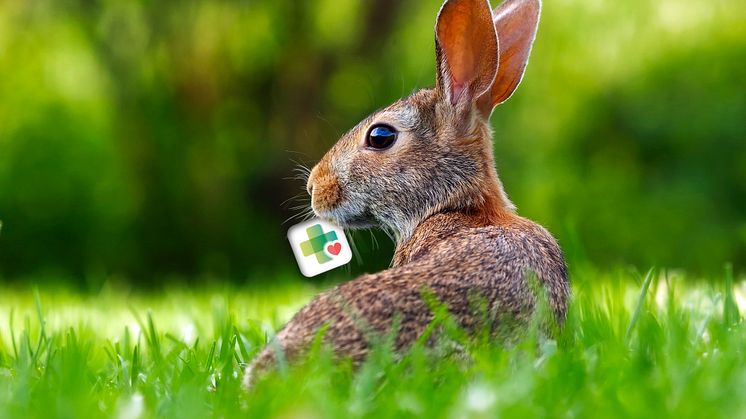 APPzumARZT. Ostern