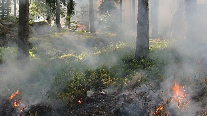 Var försiktig vid eldning och grillning