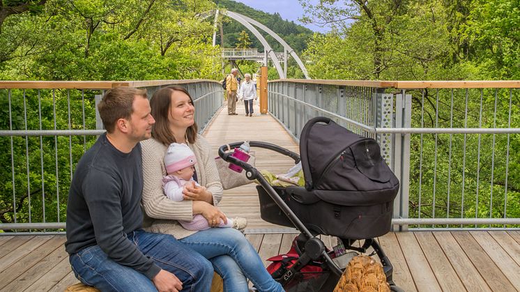 Bad Harzburg trætopsti