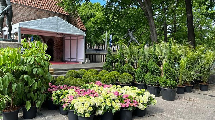 Blomsterlandet-LGCT-2022-hortensia-palm-buxbom