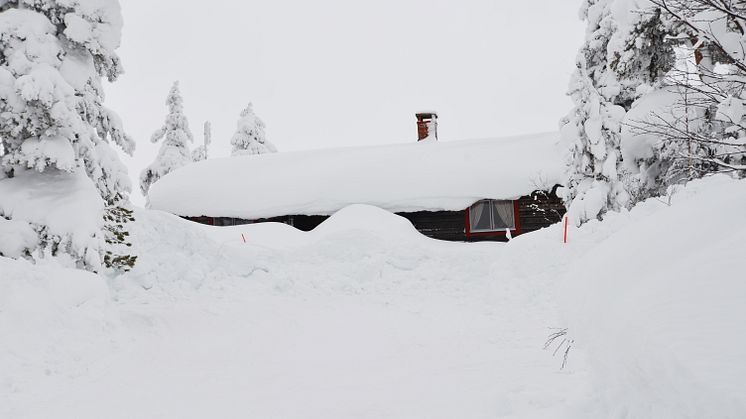 INNESNØDD