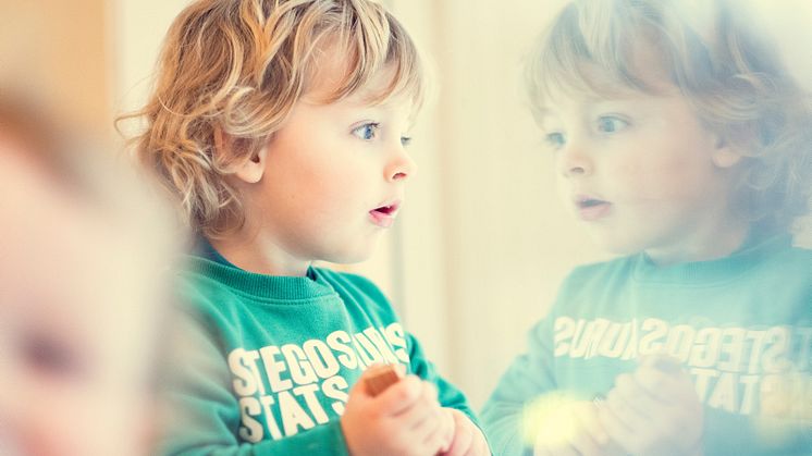 Psykososialt barnehagemiljø – skjerpet aktivitetsplikt § 43