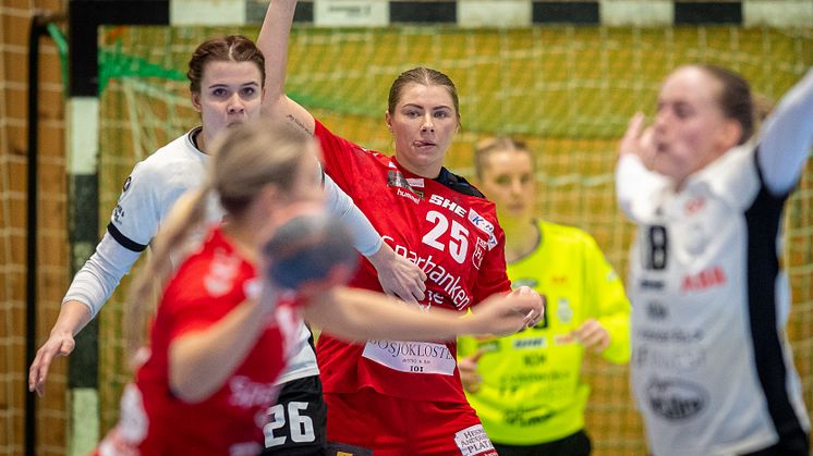 Svensk Handbollselit (SHE) Foto: Christoffer Borg Mattisson.jpg