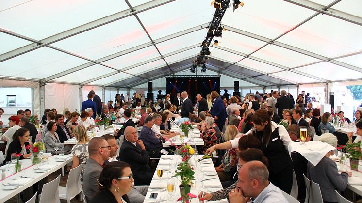 Impressionen von der 2. Bärenherz Sommernacht: Ein Rückblick in Bildern