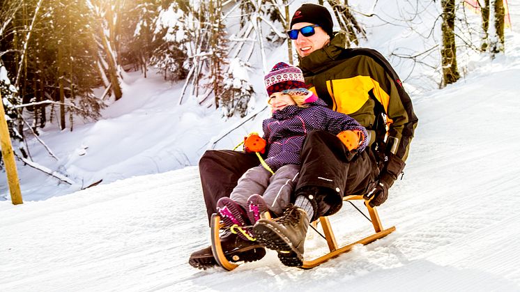 Wintersportlandschaften Schlitten