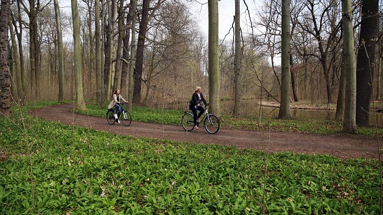 Fahrradtour - Bärlauch 