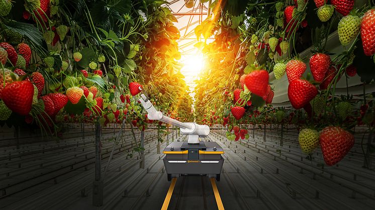 continental_pp_amr_greenhouse