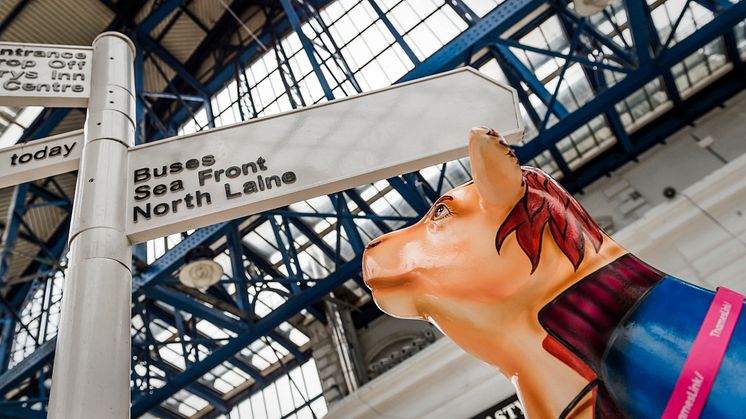 Cow-respondent travels on Thameslink