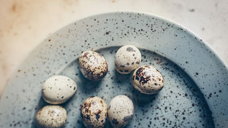 vaktelägg-på-tallrik-770