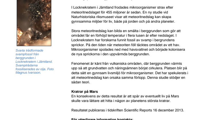 Mikroorganismer trivs i meteoritkratrar