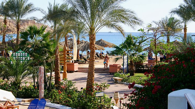 Nysatsning Egypten: Ytterligare 15 hotell i Egypten