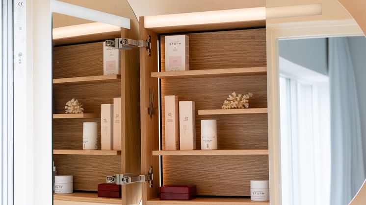 circ mirror cabinet
