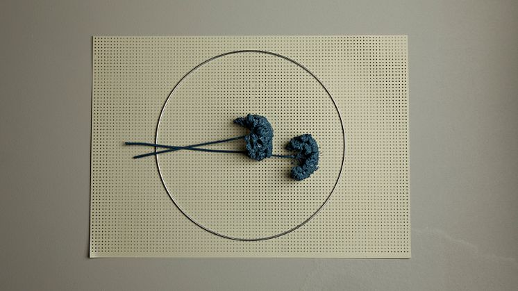 Blommor doppade i månadens kulör Alcro Moules