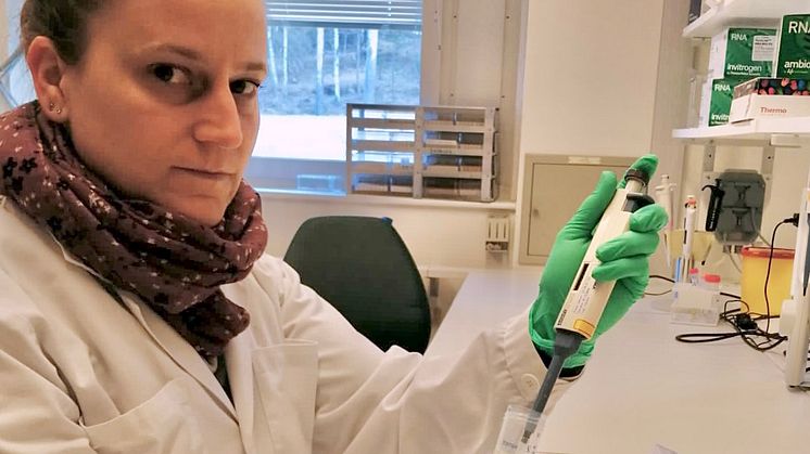 Saskia Erttmann är forskarassistent på Institutionen för molekylärbiologi vid Umeå universitet.