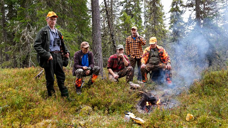 ELG - Døråsen Jaktlag i Ringsaker Jakt- og Fiskeområde leverer elgen som helgrilles på matmarkedet - FOTO Ringsaker kommune.JPG