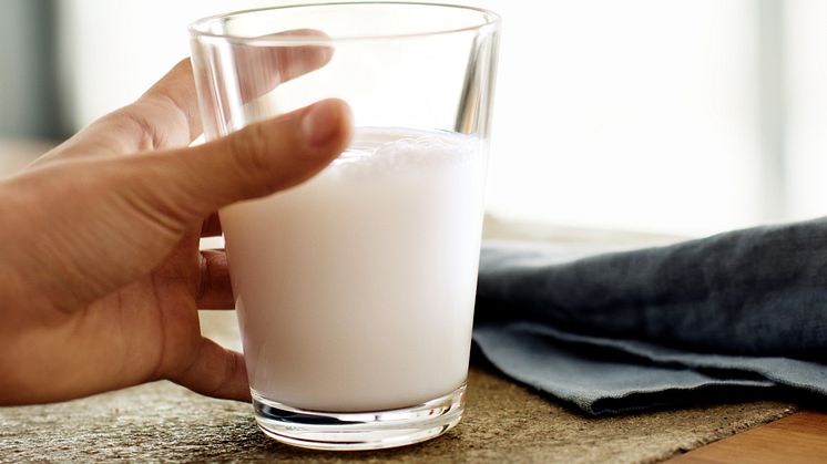 ​Valio ja Arla pääsivät sovintoratkaisuun vahingonkorvauskiistassa
