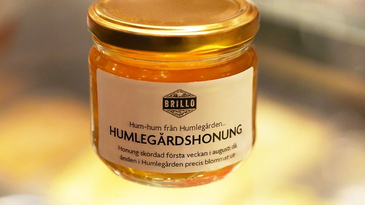 Taverna Brillos Humlegårdshonung